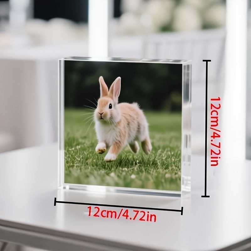 1 Pieza de Regalo Personalizad - Photo Acrylic Block reseña y precio